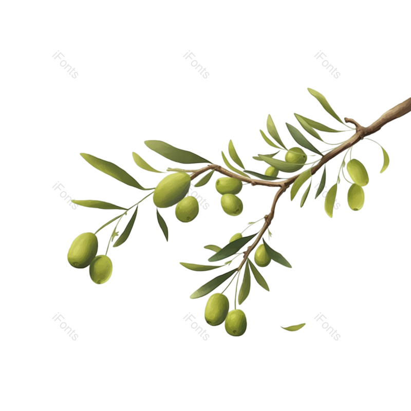 叶子图片,芒种元素,元素PNG,插画免抠素材